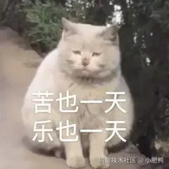 小肥鸭于2024-08-21 07:58发布的图片