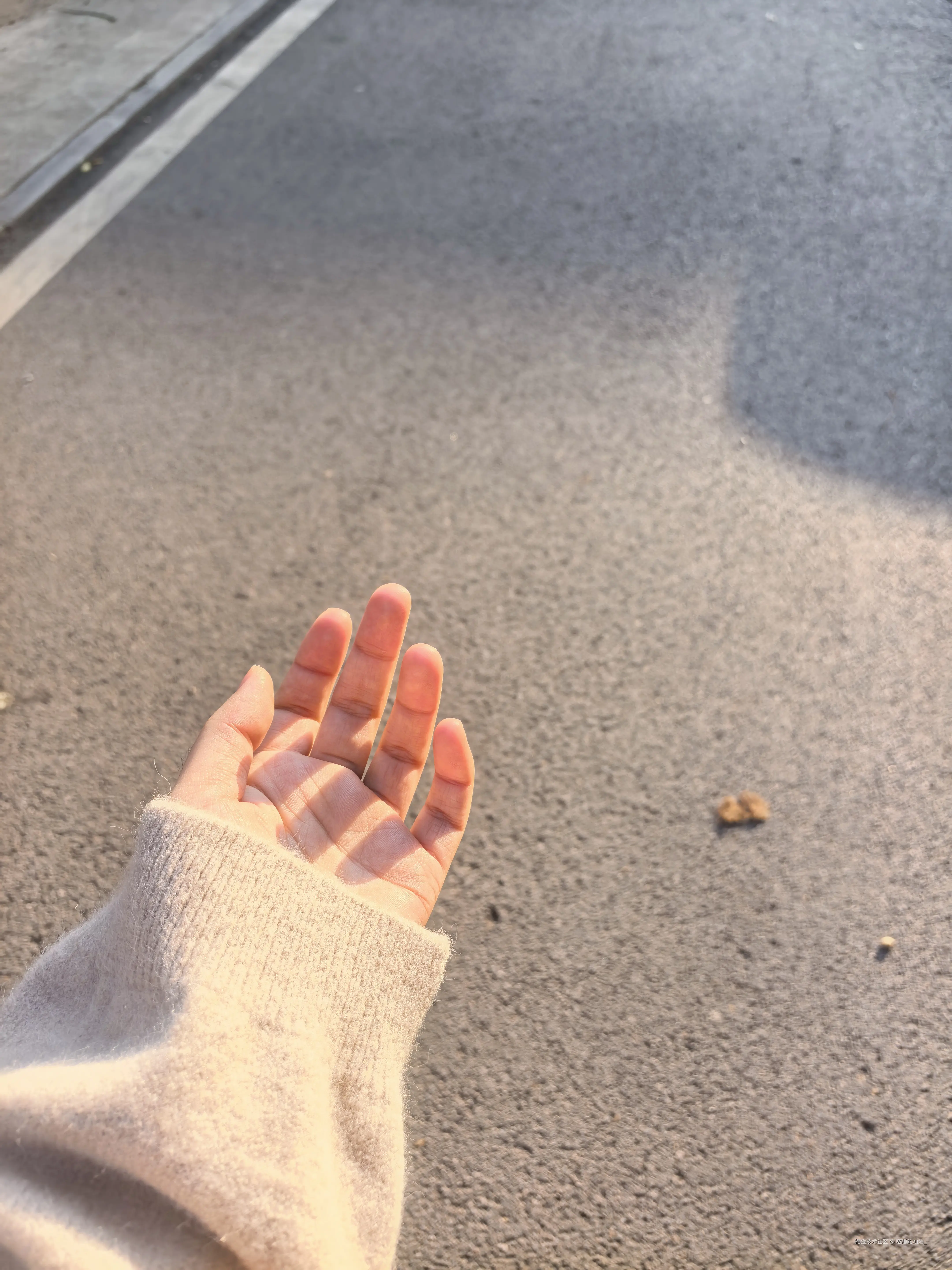 嗜睡的灿灿_于2025-10-23 08:34发布的图片