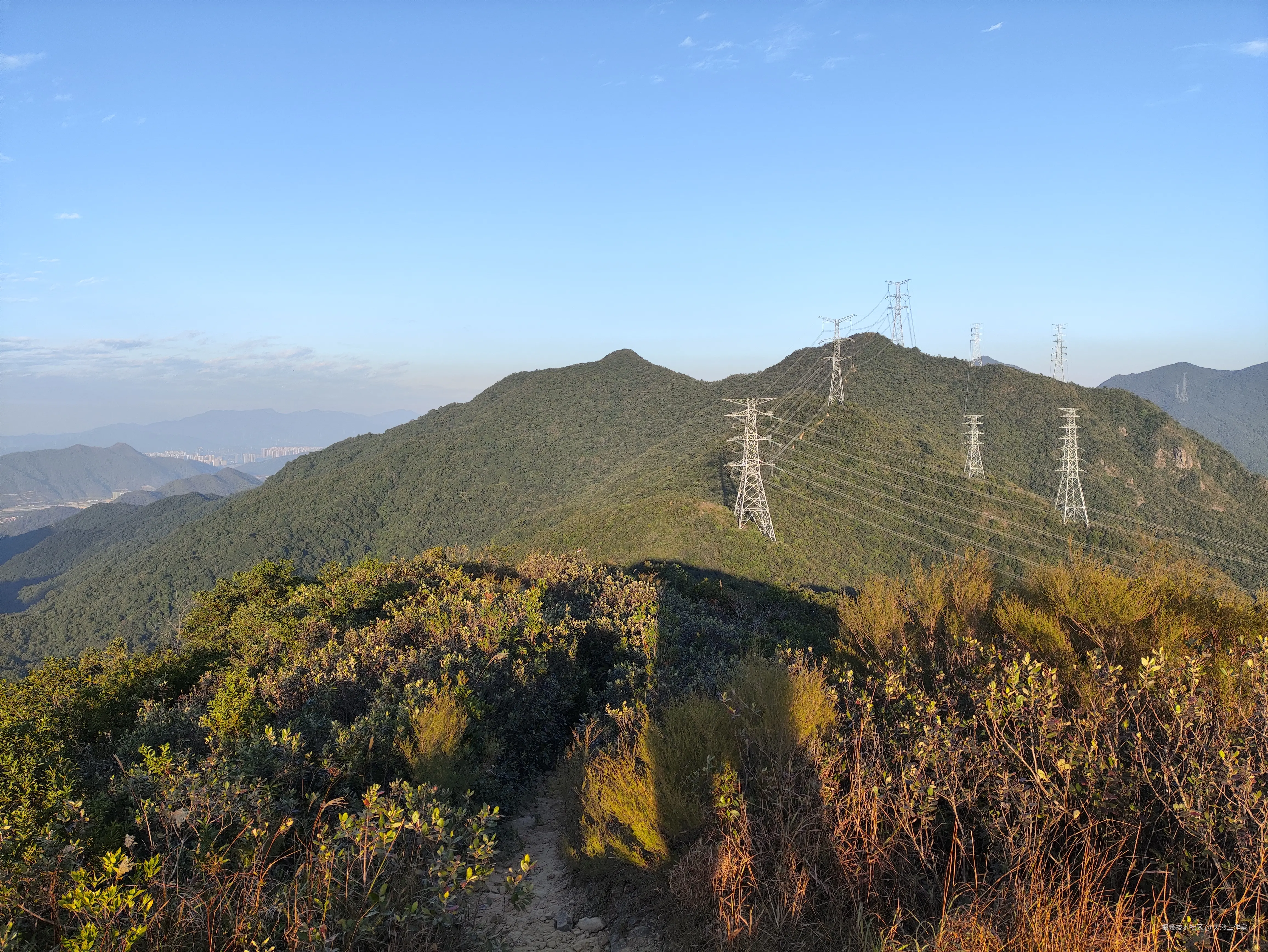 天渺工作室于2025-11-24 12:40发布的图片