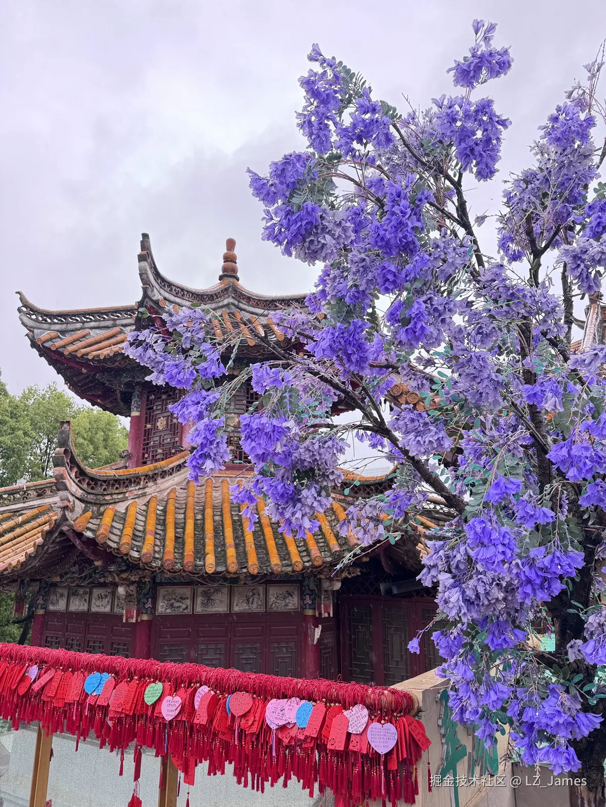 LZ_James于2026-05-06 12:08发布的图片