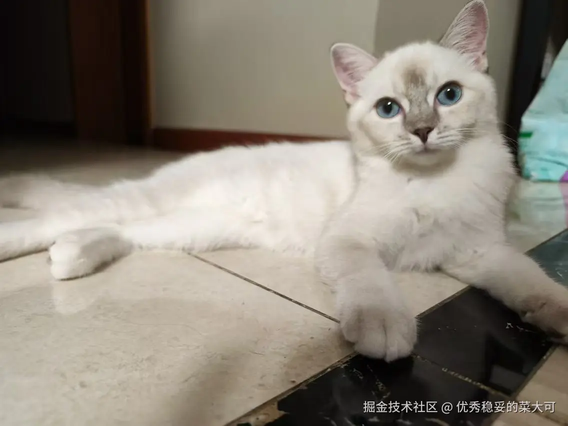 优秀稳妥的菜大可于2024-09-06 16:30发布的图片