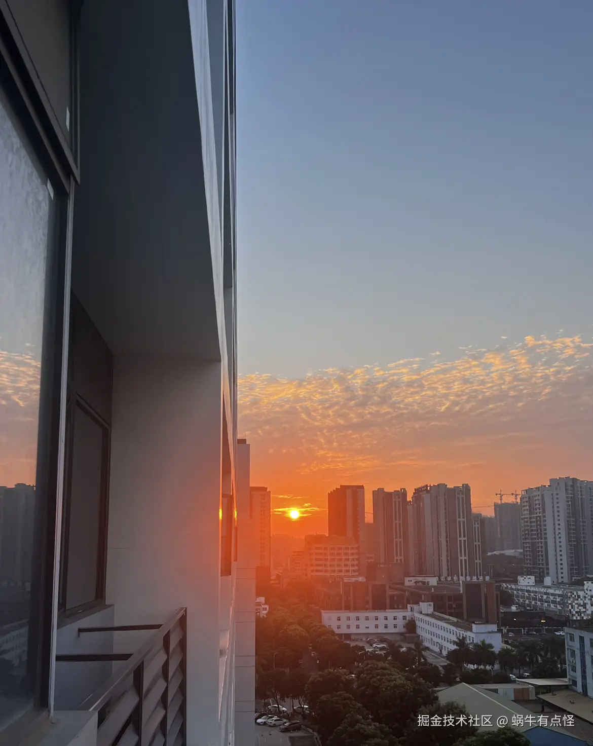 蜗牛有点怪于2024-11-20 11:24发布的图片