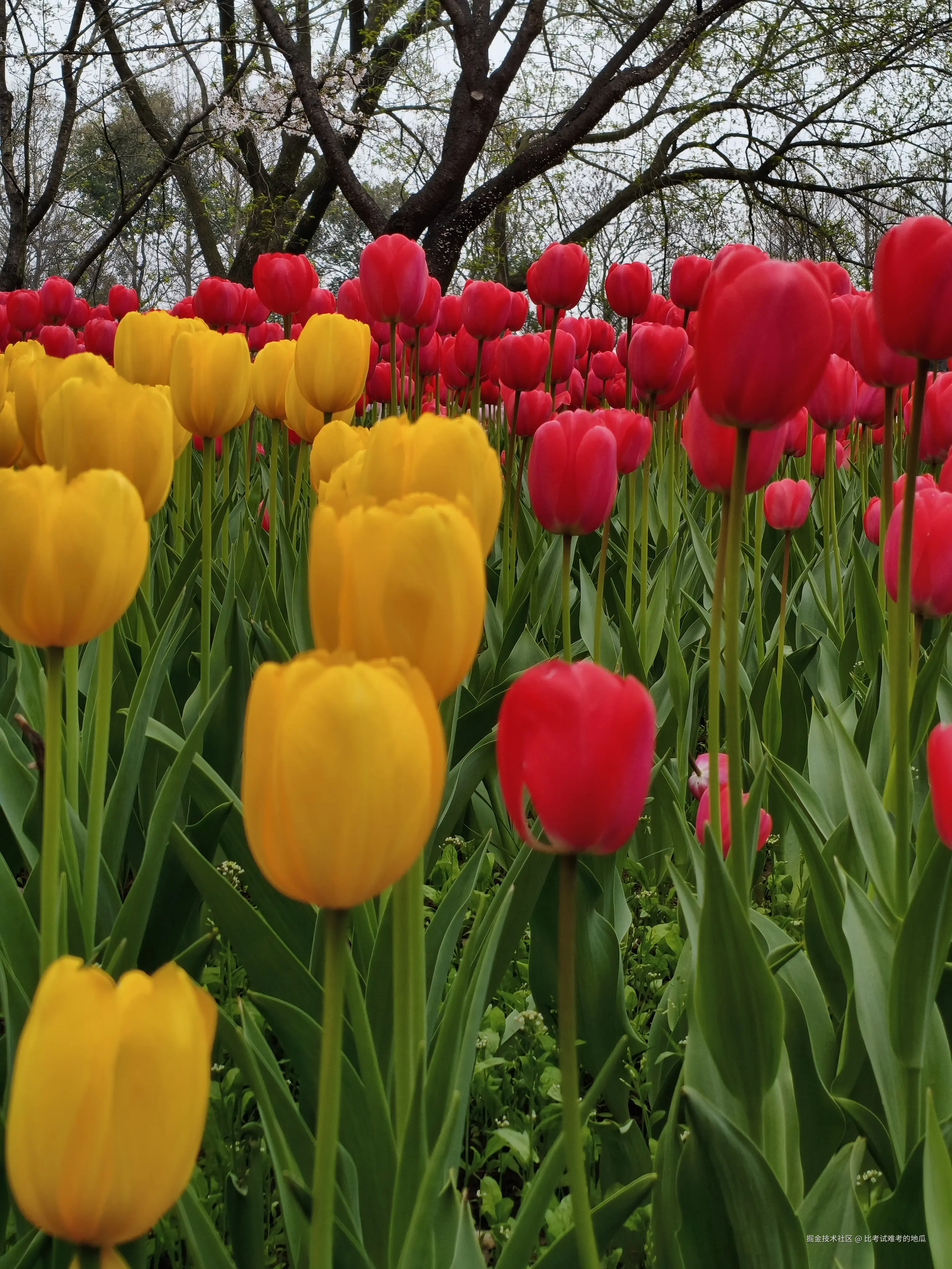 比考试难考的地瓜于2026-03-23 12:05发布的图片