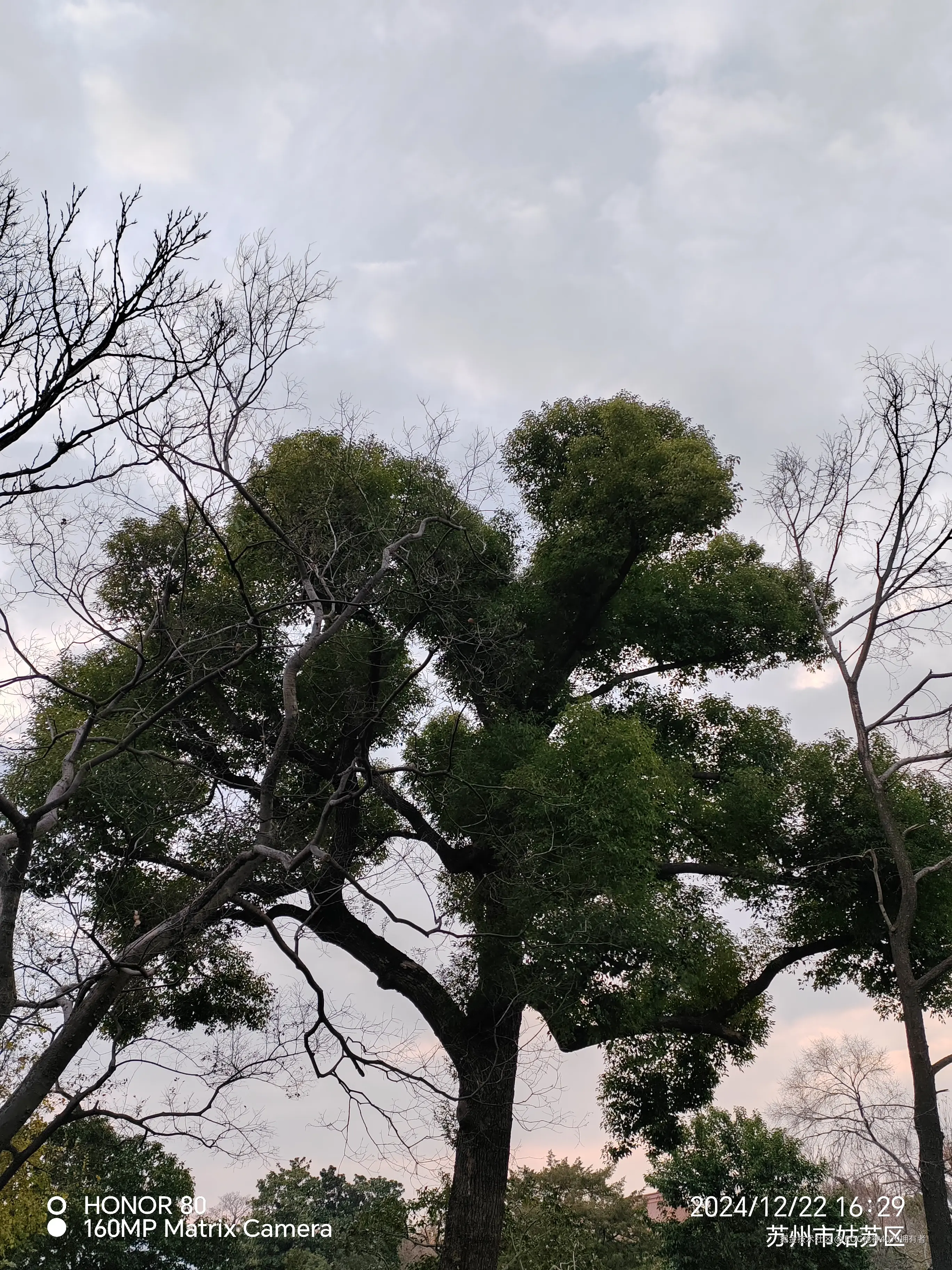 ROG枪神4070拥有者于2024-12-23 10:25发布的图片