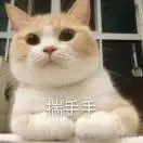 小肥鸭于2024-09-06 07:51发布的图片