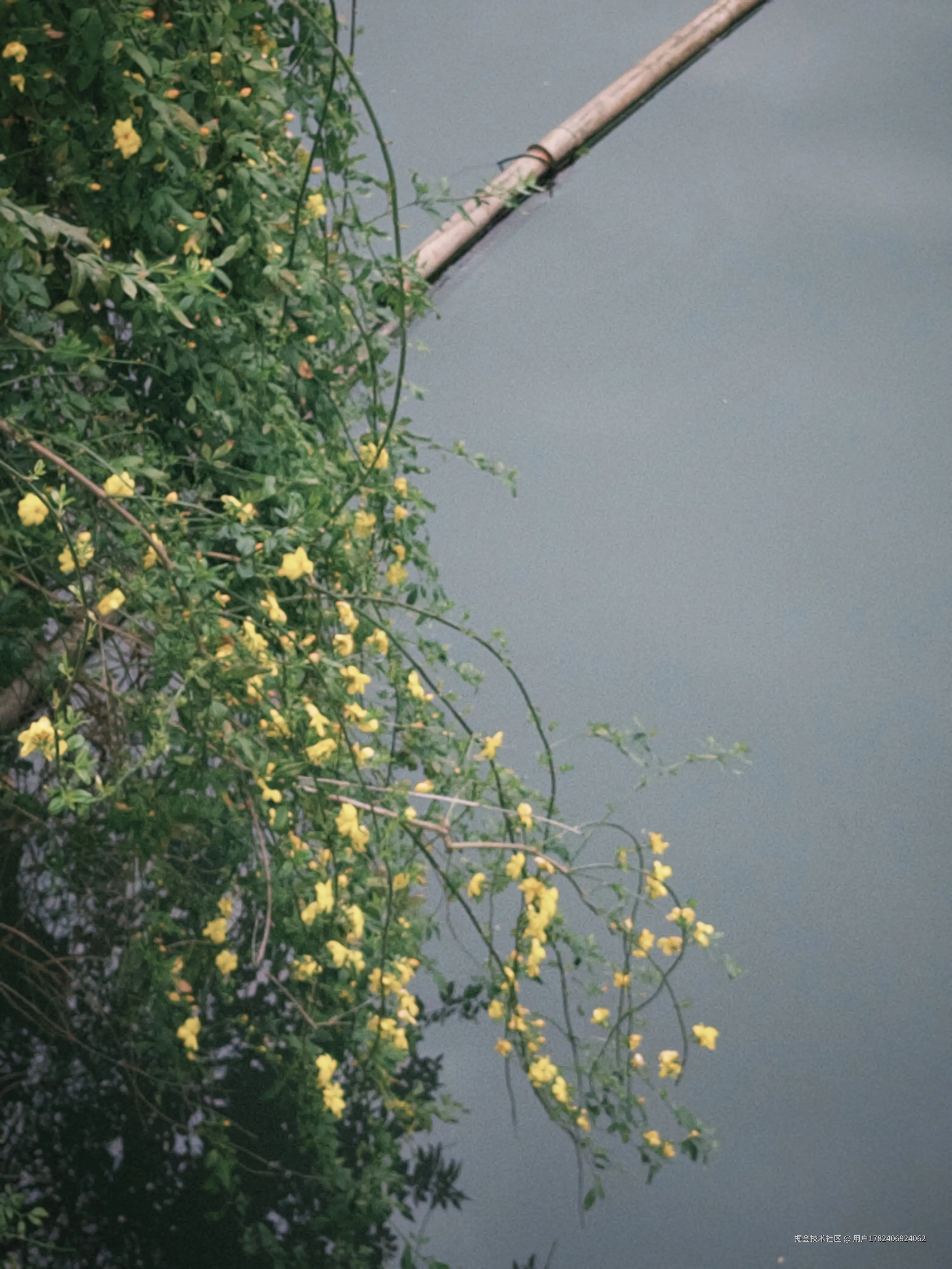 用户1782406924062于2026-03-23 17:27发布的图片