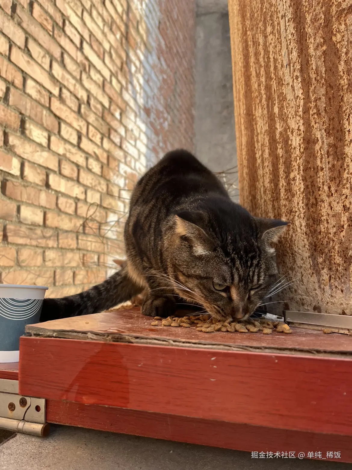 单纯_稀饭于2025-11-26 09:05发布的图片