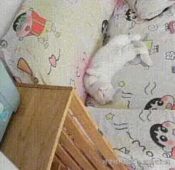 就爱吃火锅于2025-11-04 17:08发布的图片