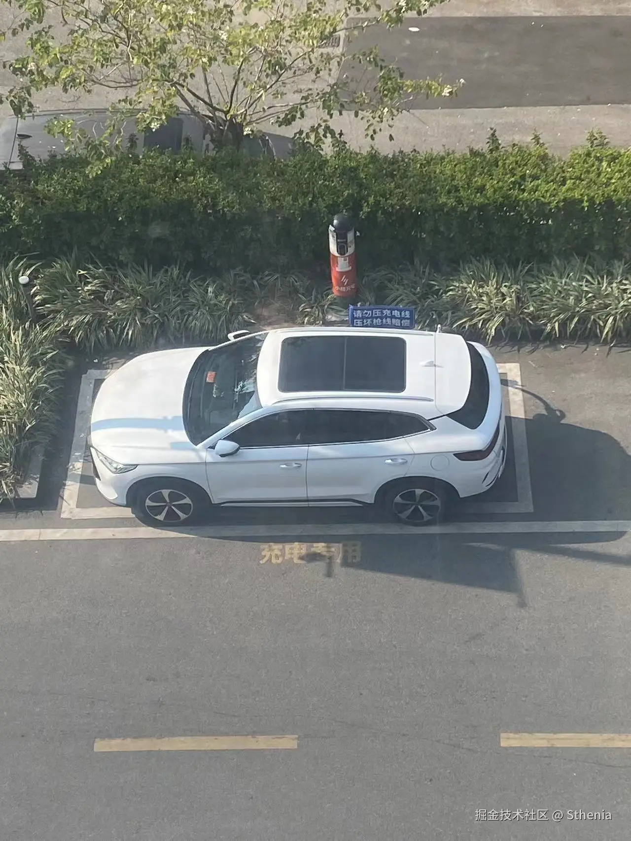 Sthenia于2024-12-11 14:07发布的图片