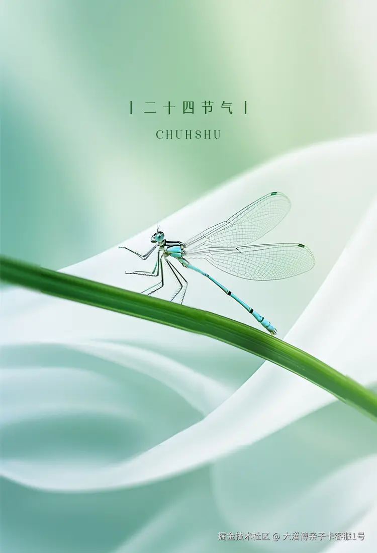 大淄博亲子卡客服1号于2026-04-13 15:38发布的图片