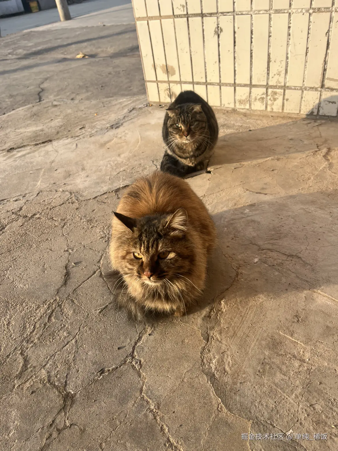 单纯_稀饭于2025-12-15 08:56发布的图片