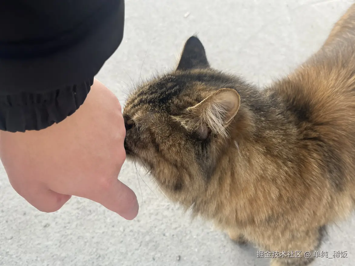 单纯_稀饭于2025-11-21 09:31发布的图片