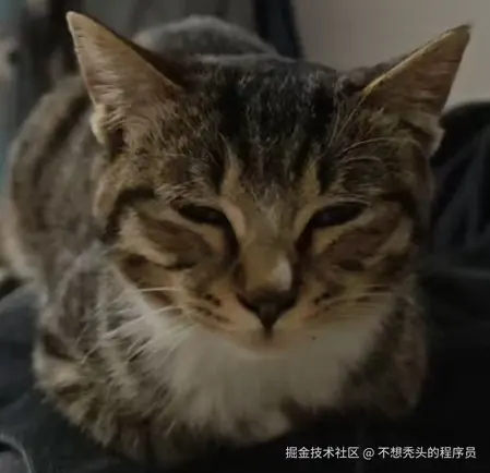 不想秃头的程序员于2026-01-06 10:39发布的图片