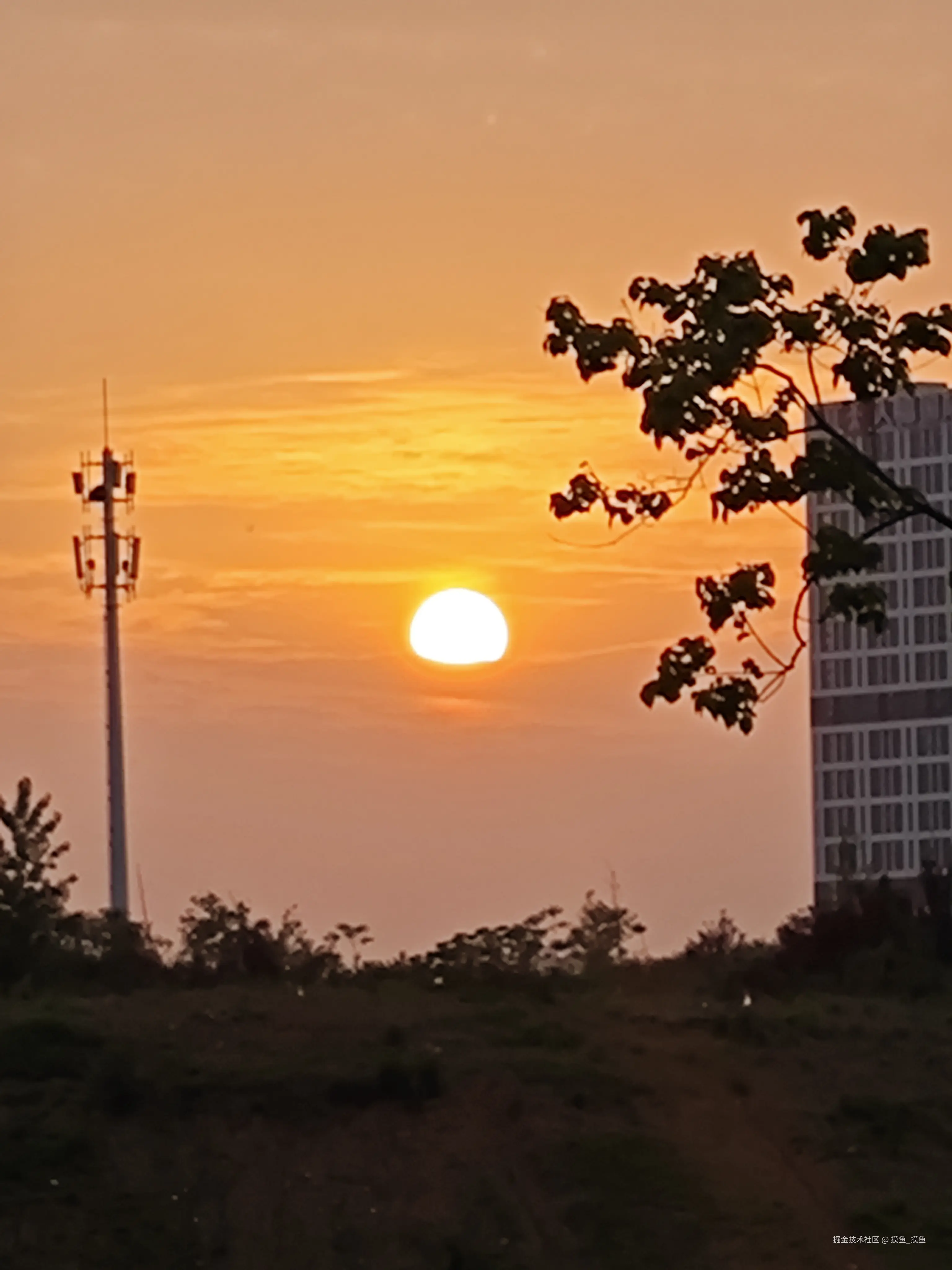 摸鱼_摸鱼于2025-04-27 11:50发布的图片