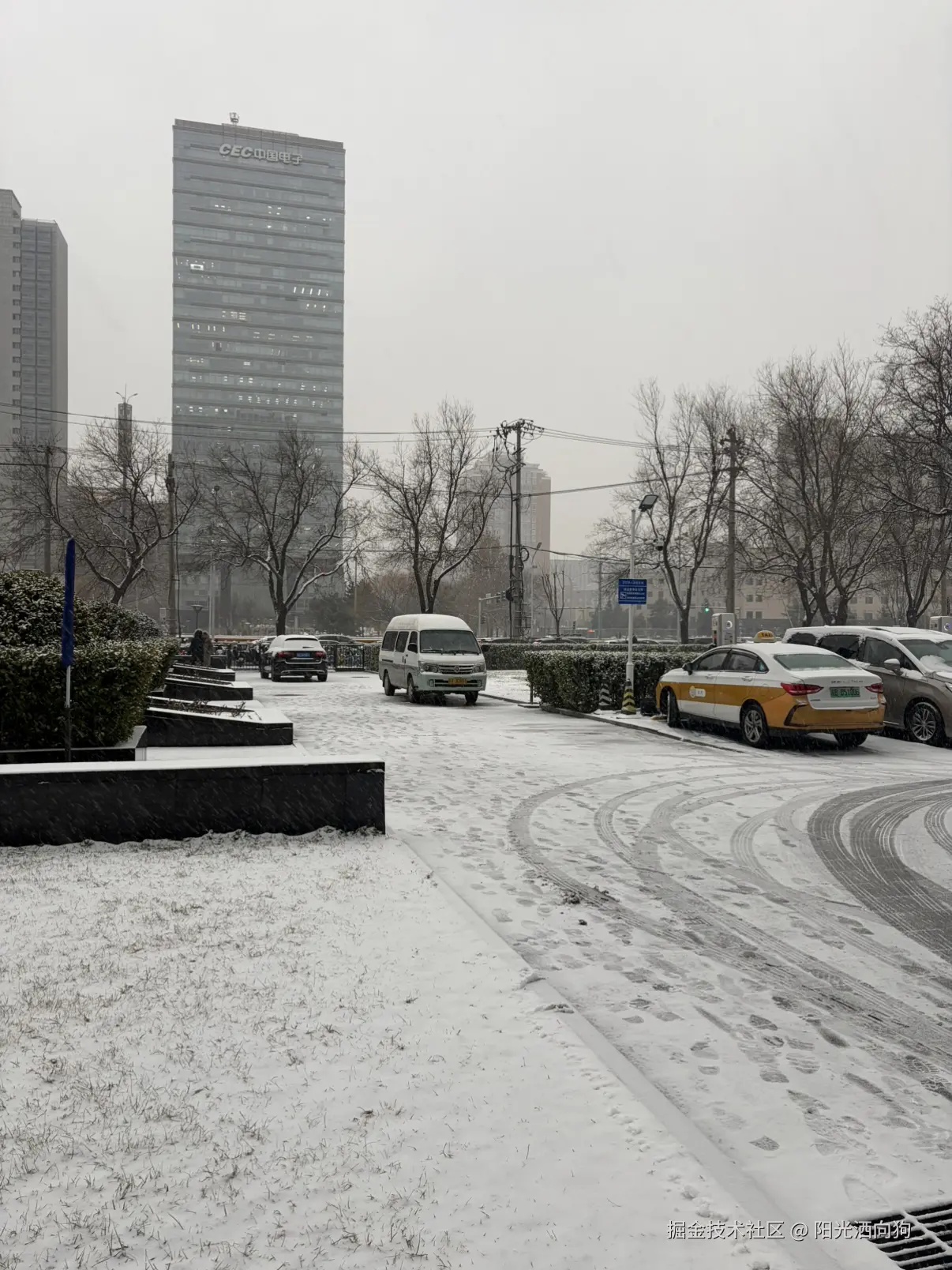 阳光洒向狗_于2025-12-12 15:41发布的图片