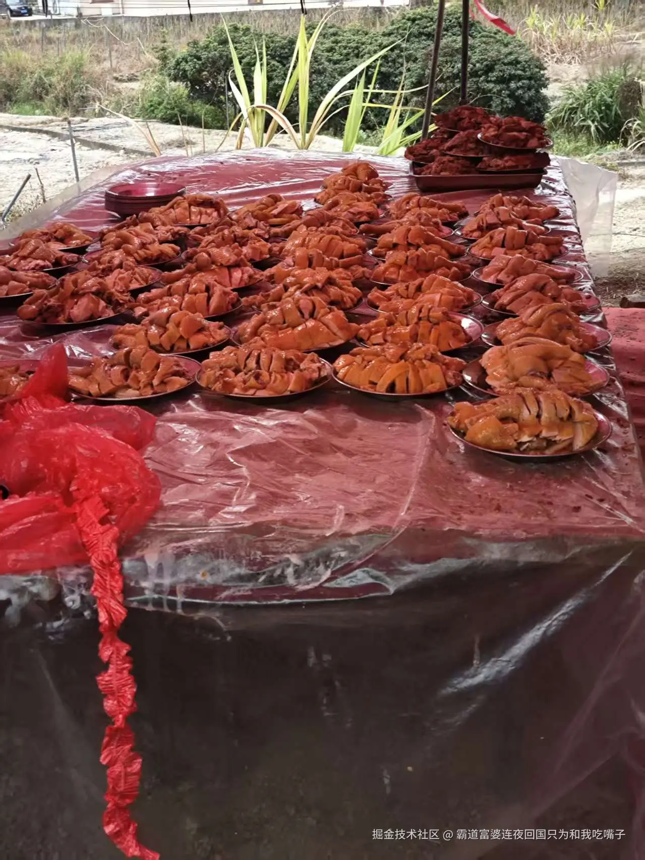 霸道富婆连夜回国只为和我吃嘴子于2026-02-10 09:27发布的图片