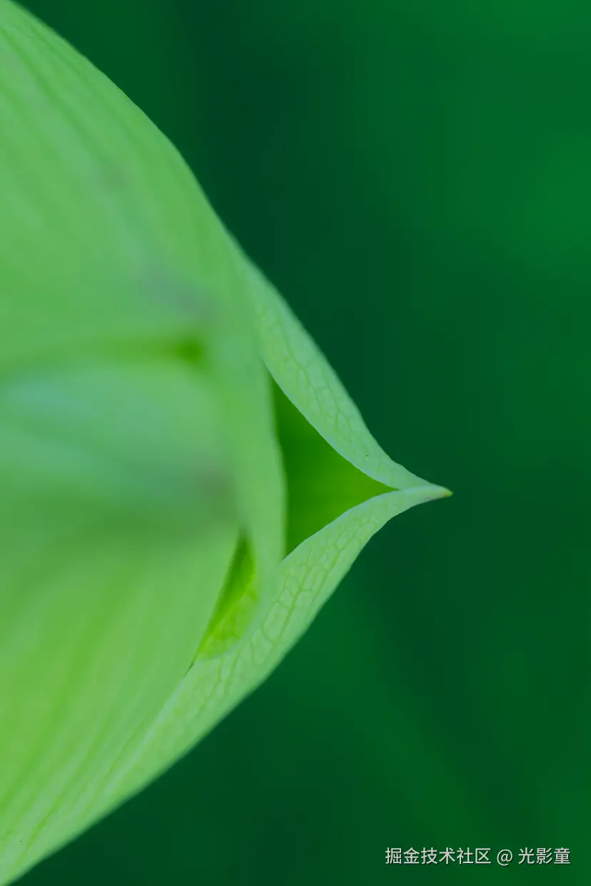 光影童于2025-06-30 06:43发布的图片