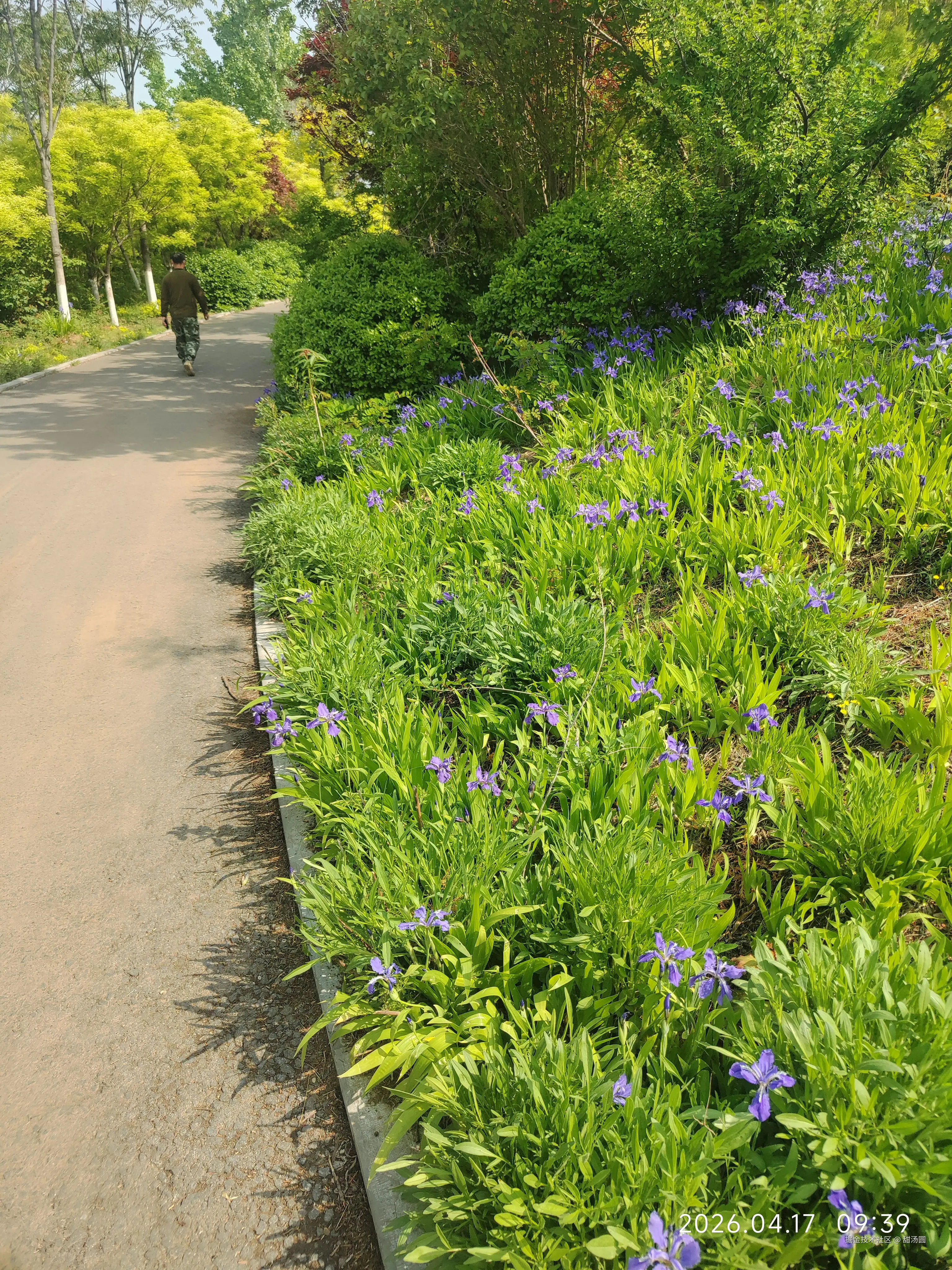 甜汤圆于2026-04-17 09:40发布的图片