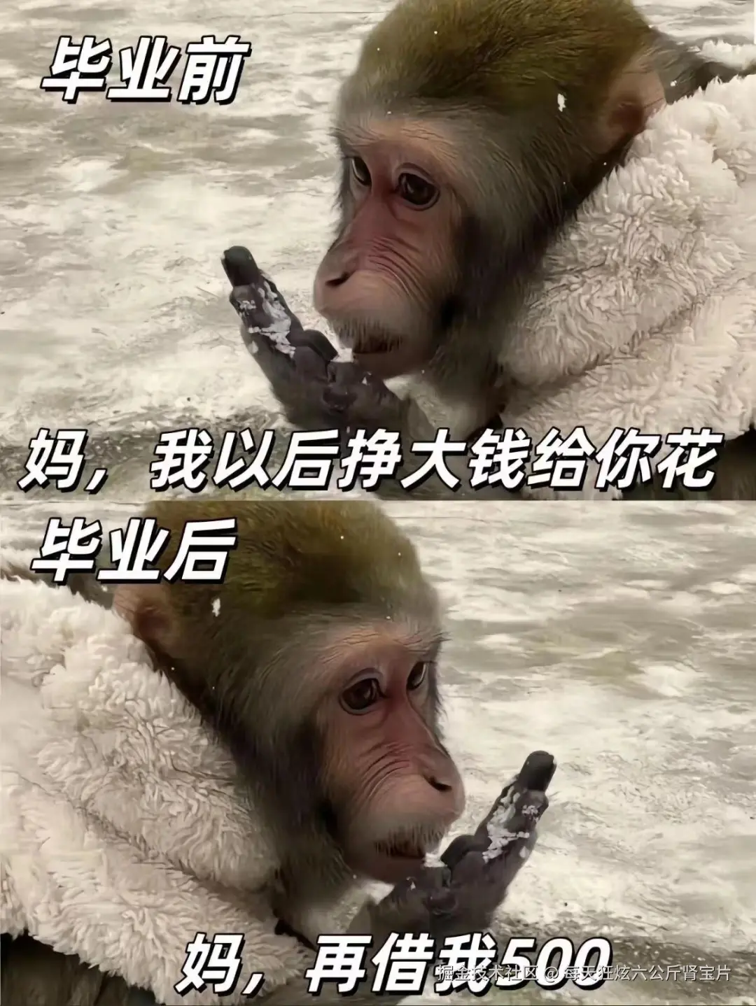 每天狂炫六公斤肾宝片于2024-07-30 16:50发布的图片