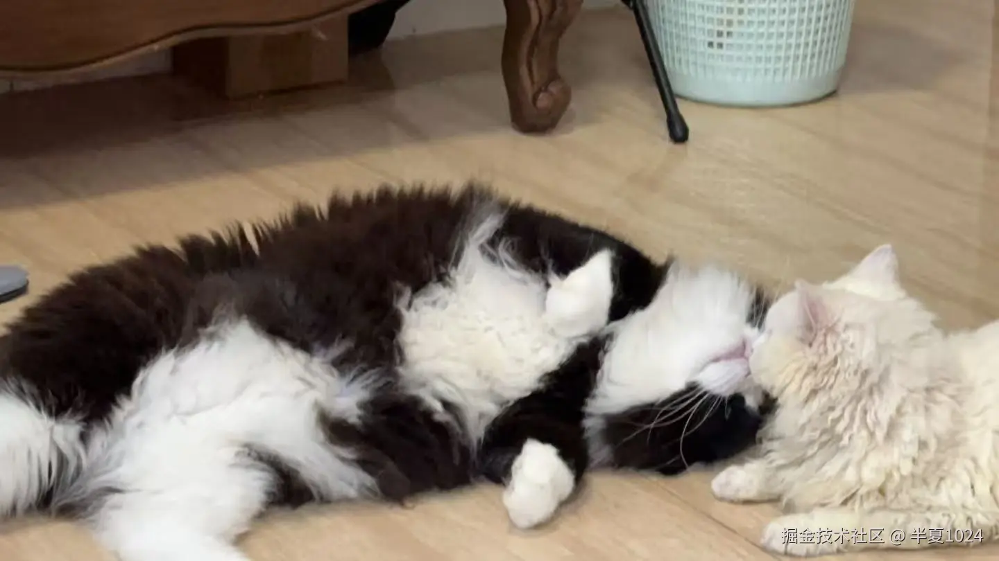 半夏1024于2025-09-11 13:54发布的图片