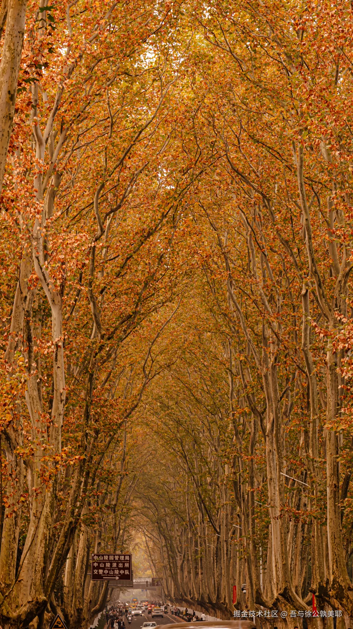 吾与徐公孰美耶于2025-08-07 11:17发布的图片