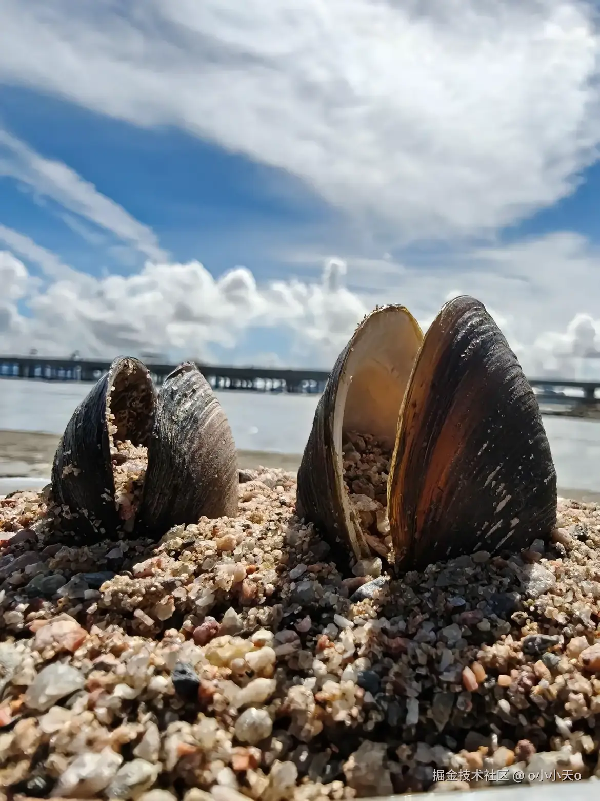 o小小天o于2025-12-19 14:55发布的图片