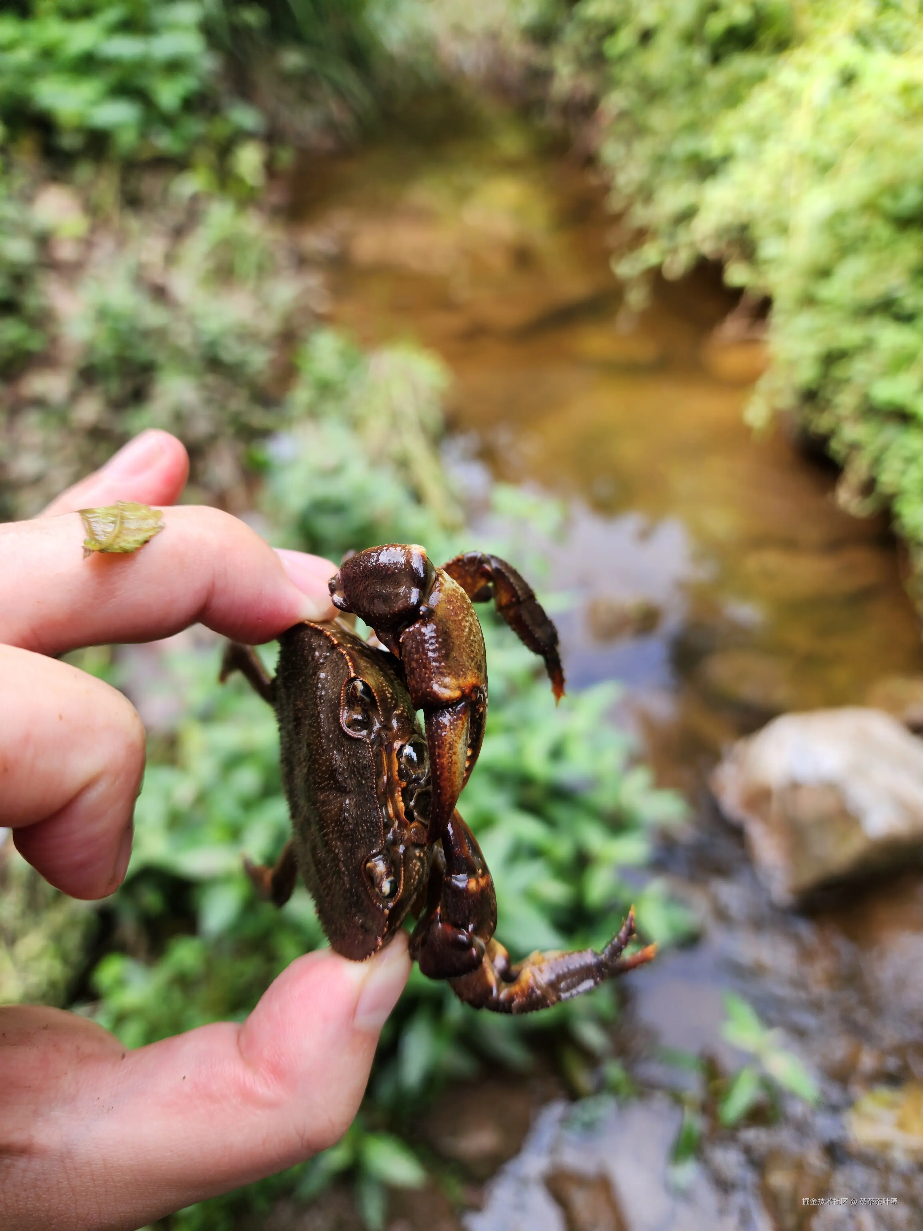 茶茶茶叶蛋于2025-12-22 10:40发布的图片