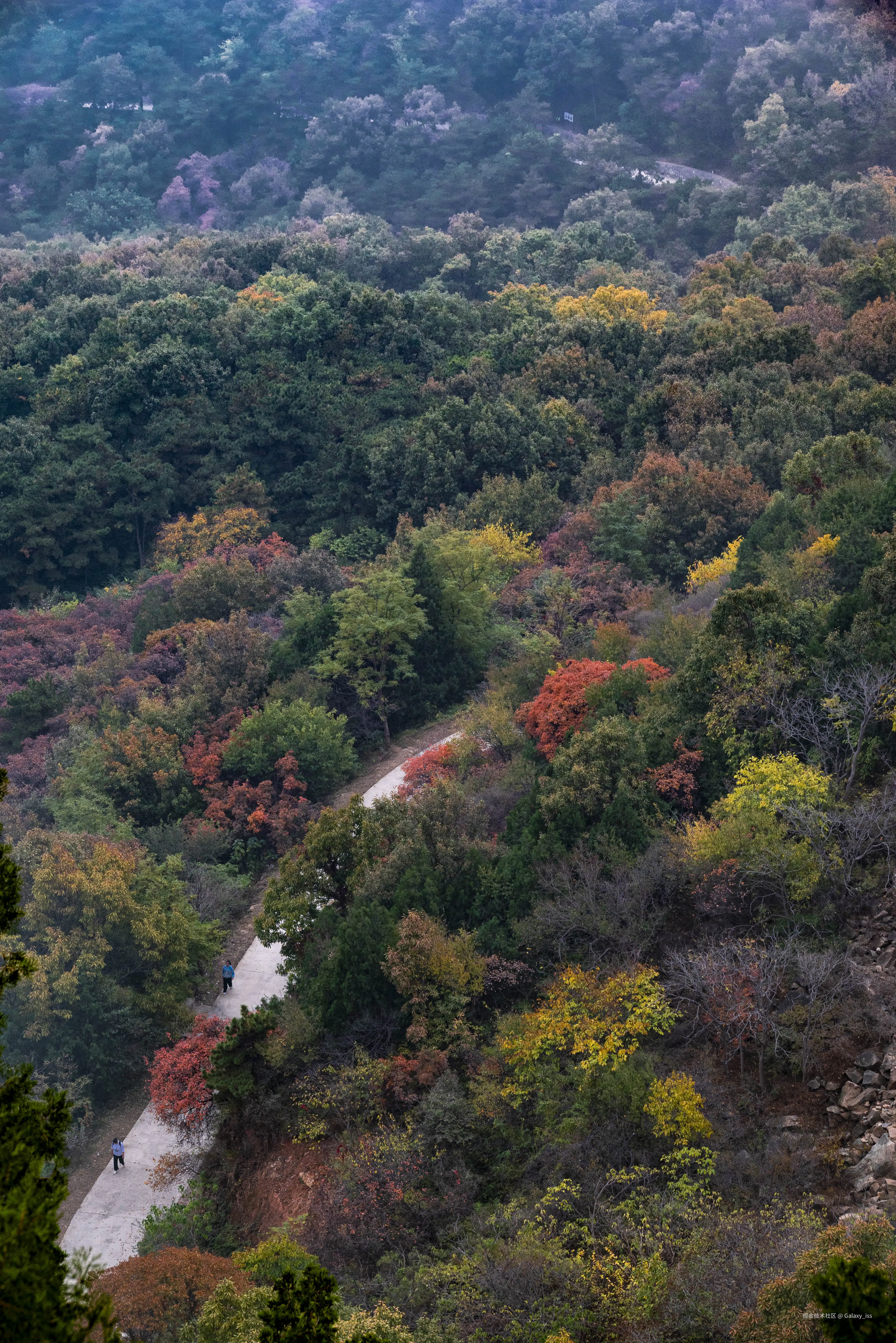 Galaxy_iss于2024-10-30 04:34发布的图片