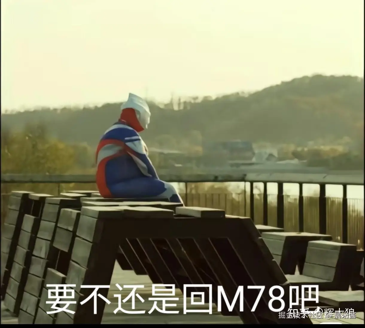 晨米酱于2024-07-18 01:59发布的图片