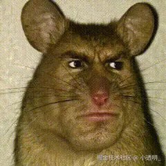 小透明_于2026-03-25 11:54发布的图片