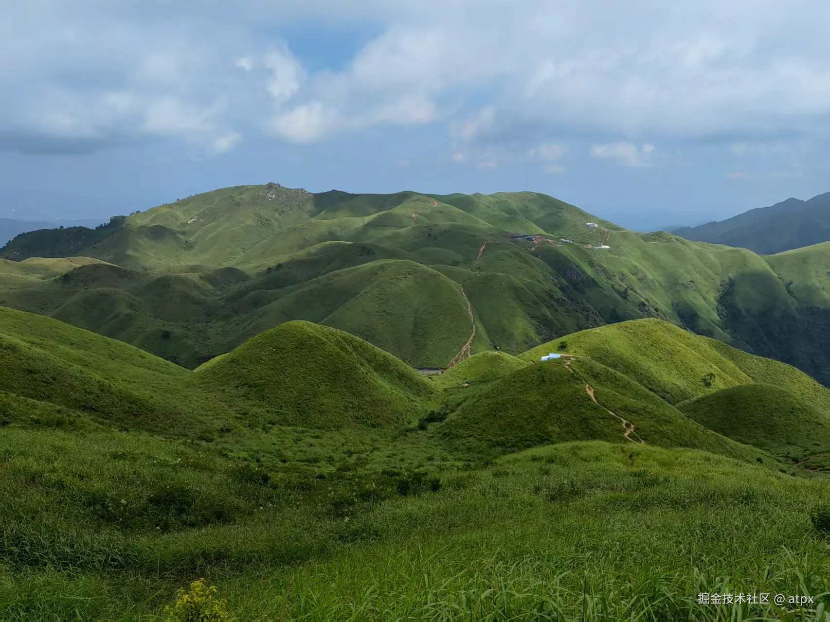 atpx于2025-08-11 10:06发布的图片