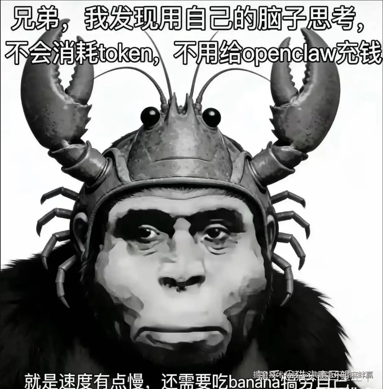 典孝急乐批麻蚌赢于2026-03-24 16:38发布的图片