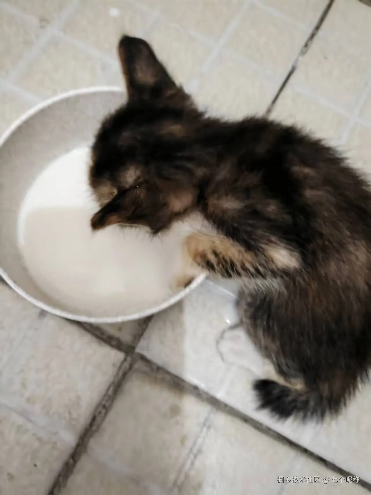 七个昵称于2025-07-07 09:08发布的图片