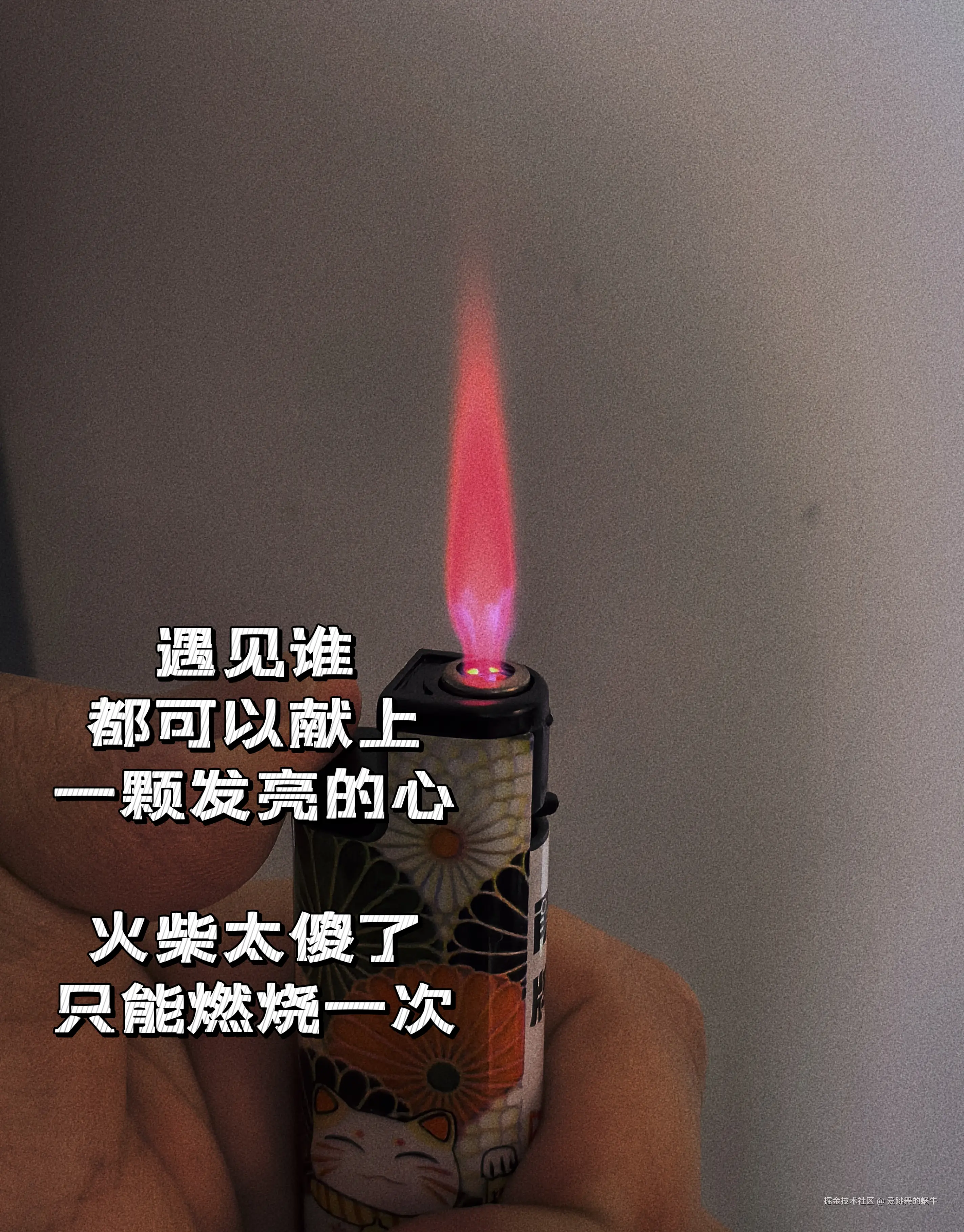 爱跳舞的蜗牛于2024-08-25 13:53发布的图片