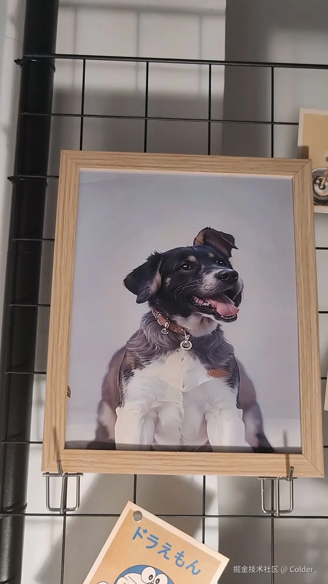 Colder_于2025-08-08 03:09发布的图片