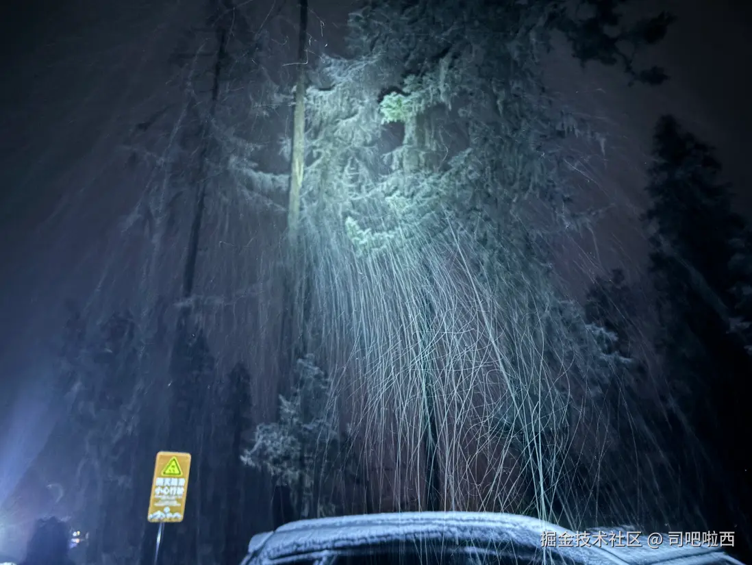 司吧啦西于2024-11-18 13:59发布的图片