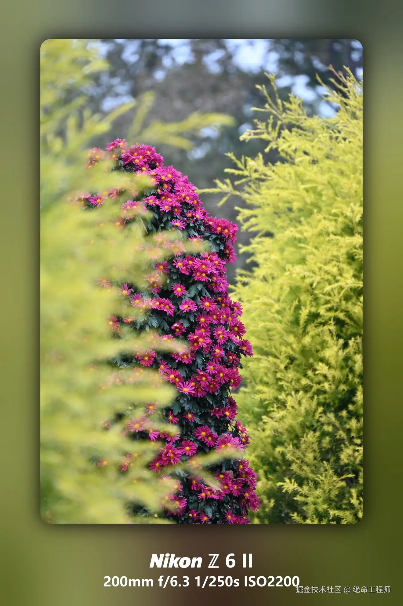 绝命工程师于2025-11-11 09:28发布的图片