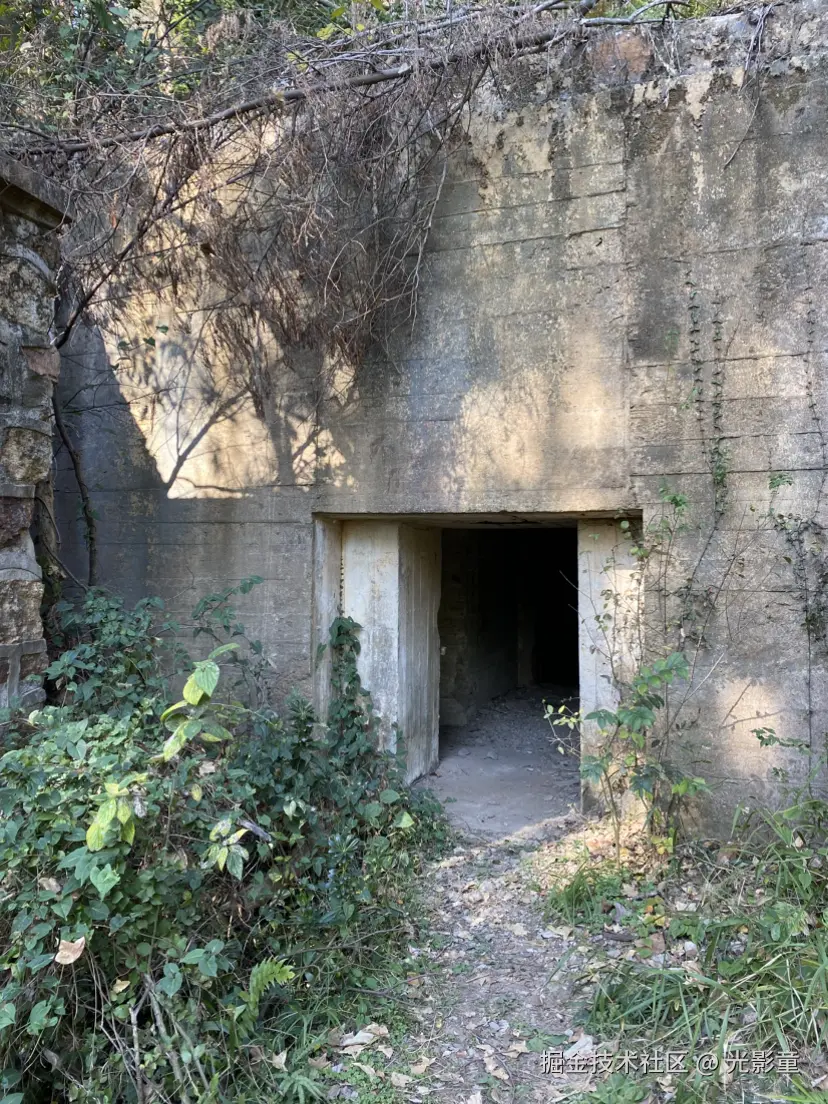 光影童于2024-12-02 14:17发布的图片