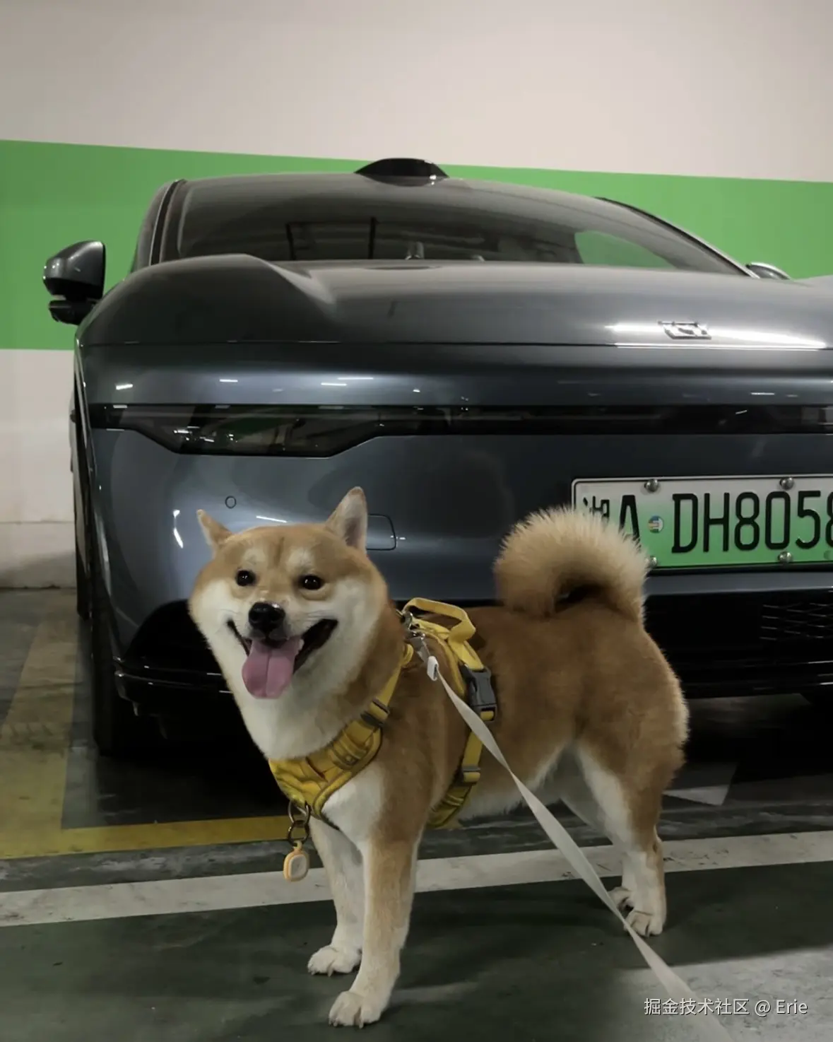 Erie于2024-09-06 10:03发布的图片