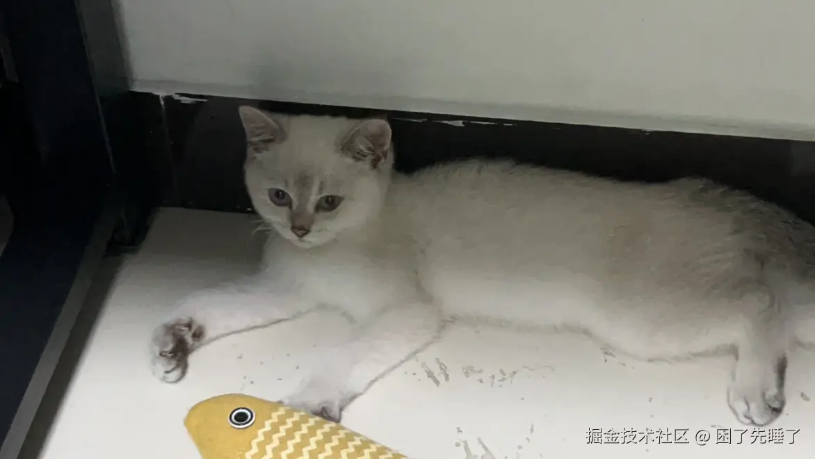 困了先睡了于2025-04-24 15:44发布的图片