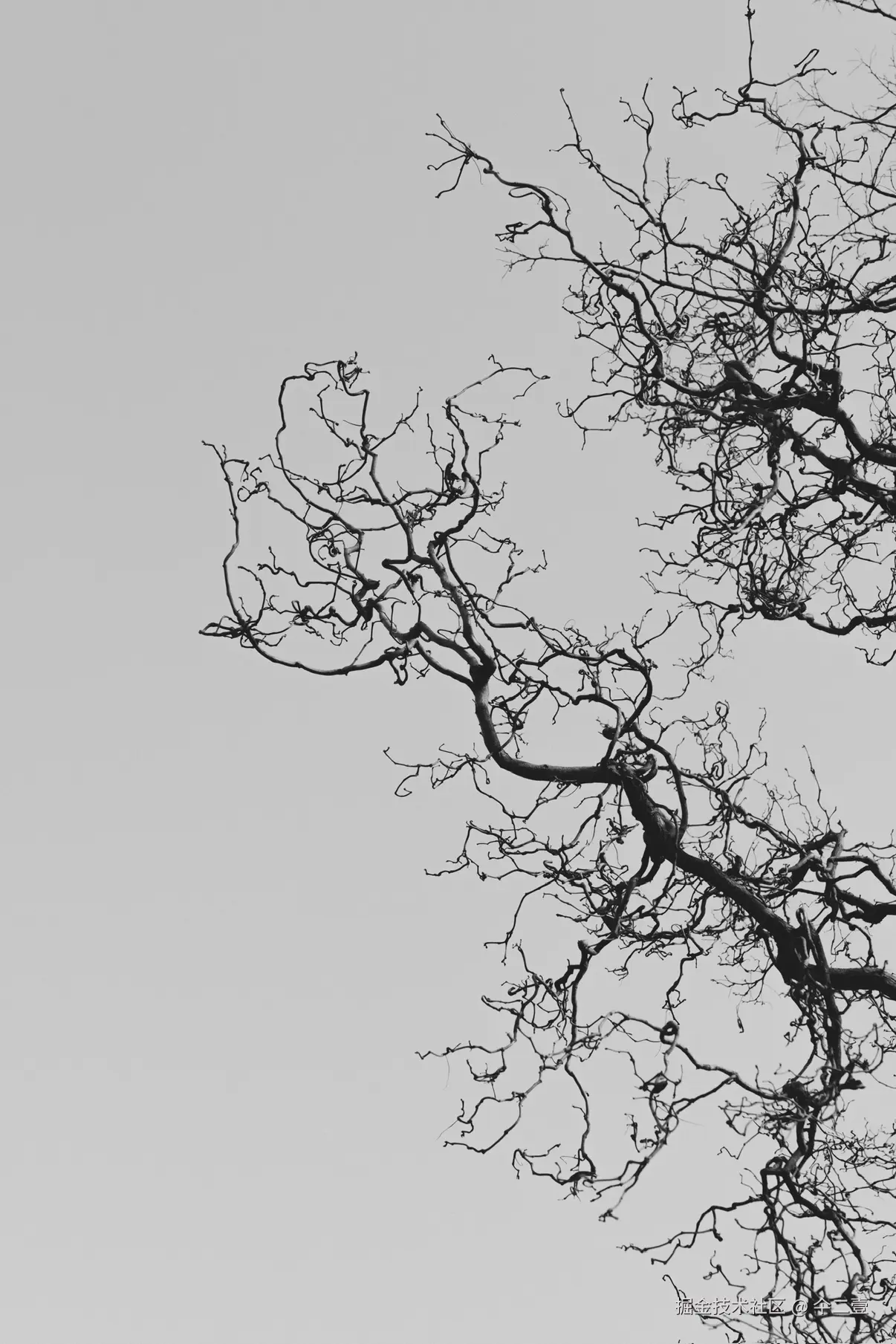 仐二壹于2026-03-22 16:06发布的图片