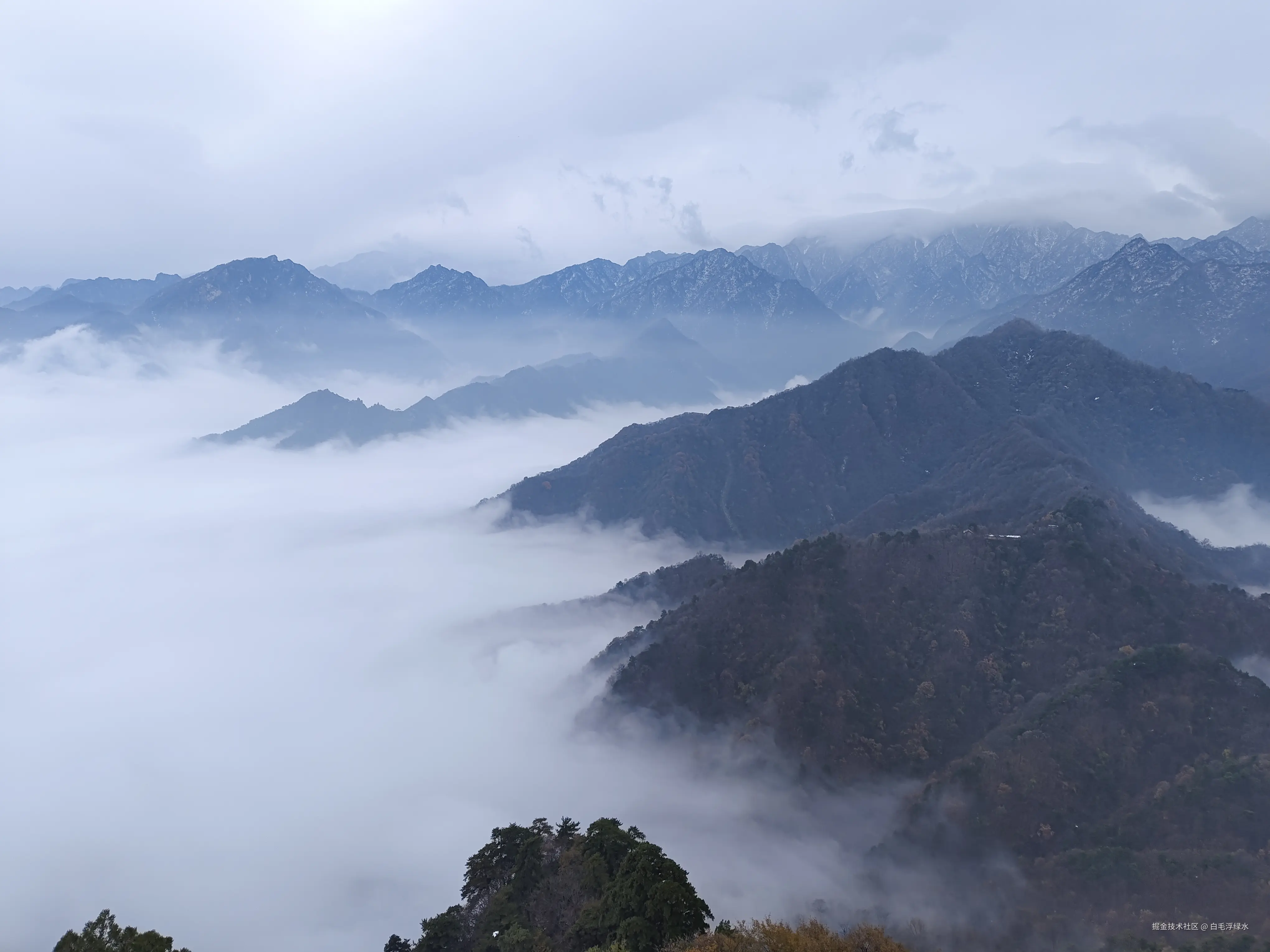 白毛浮绿水于2024-11-25 11:13发布的图片