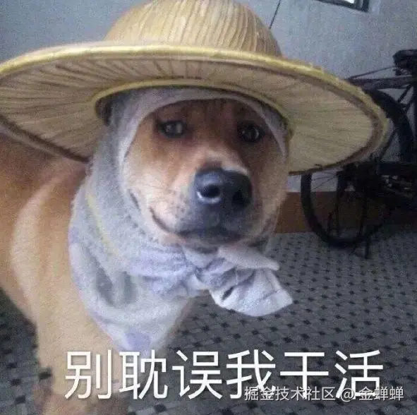 金蝉蝉于2025-08-05 16:41发布的图片