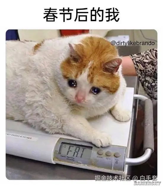 白手套于2026-02-28 20:50发布的图片