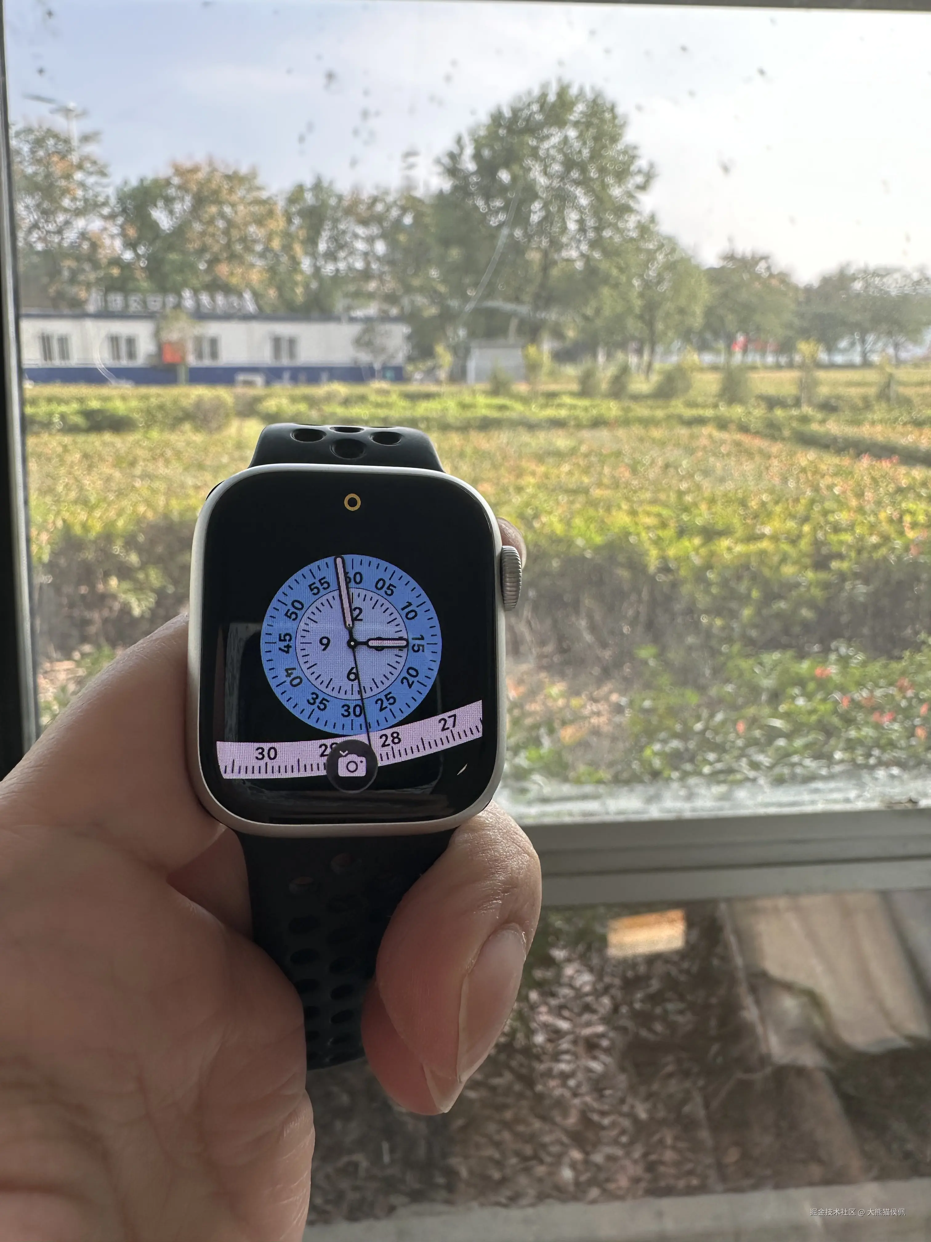 大熊猫侯佩于2025-10-08 15:02发布的图片