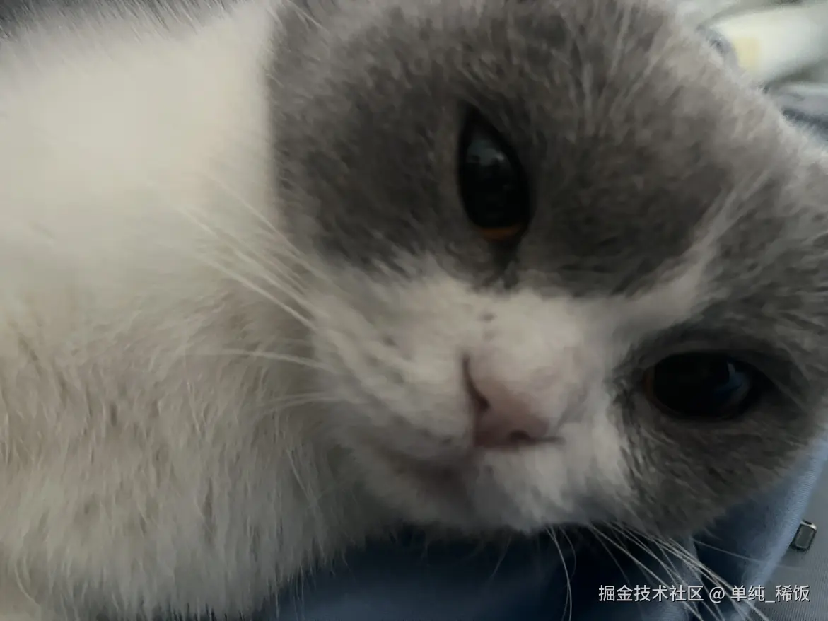 单纯_稀饭于2024-12-23 08:59发布的图片