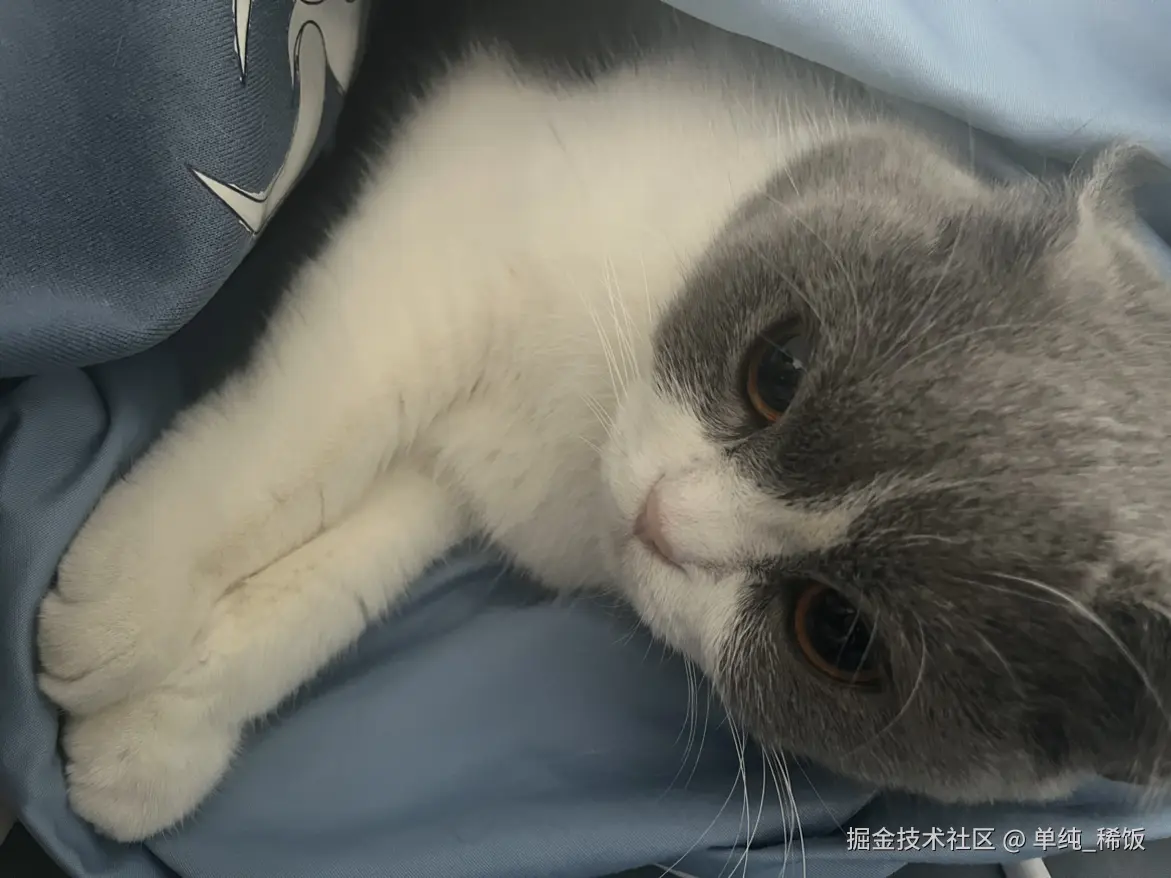 单纯_稀饭于2024-12-23 08:59发布的图片