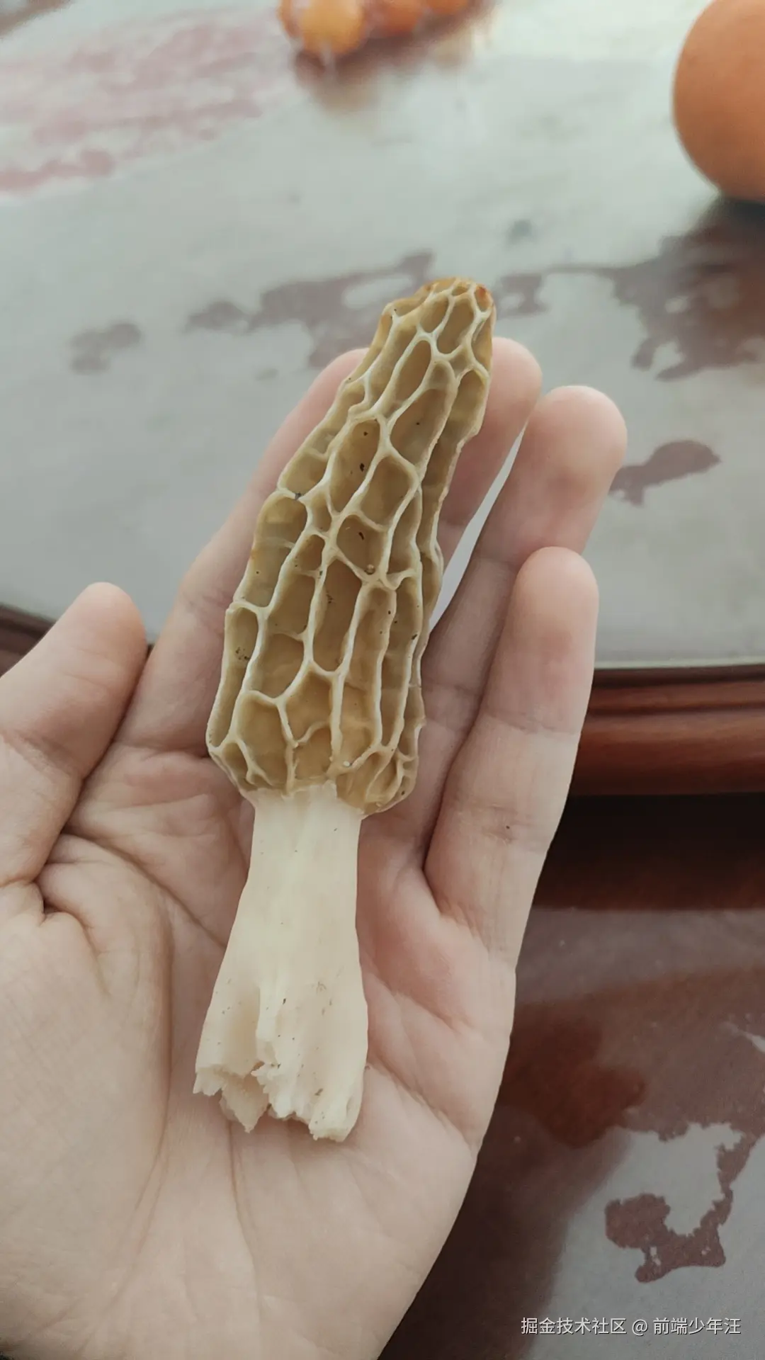 前端少年汪于2026-04-06 10:12发布的图片