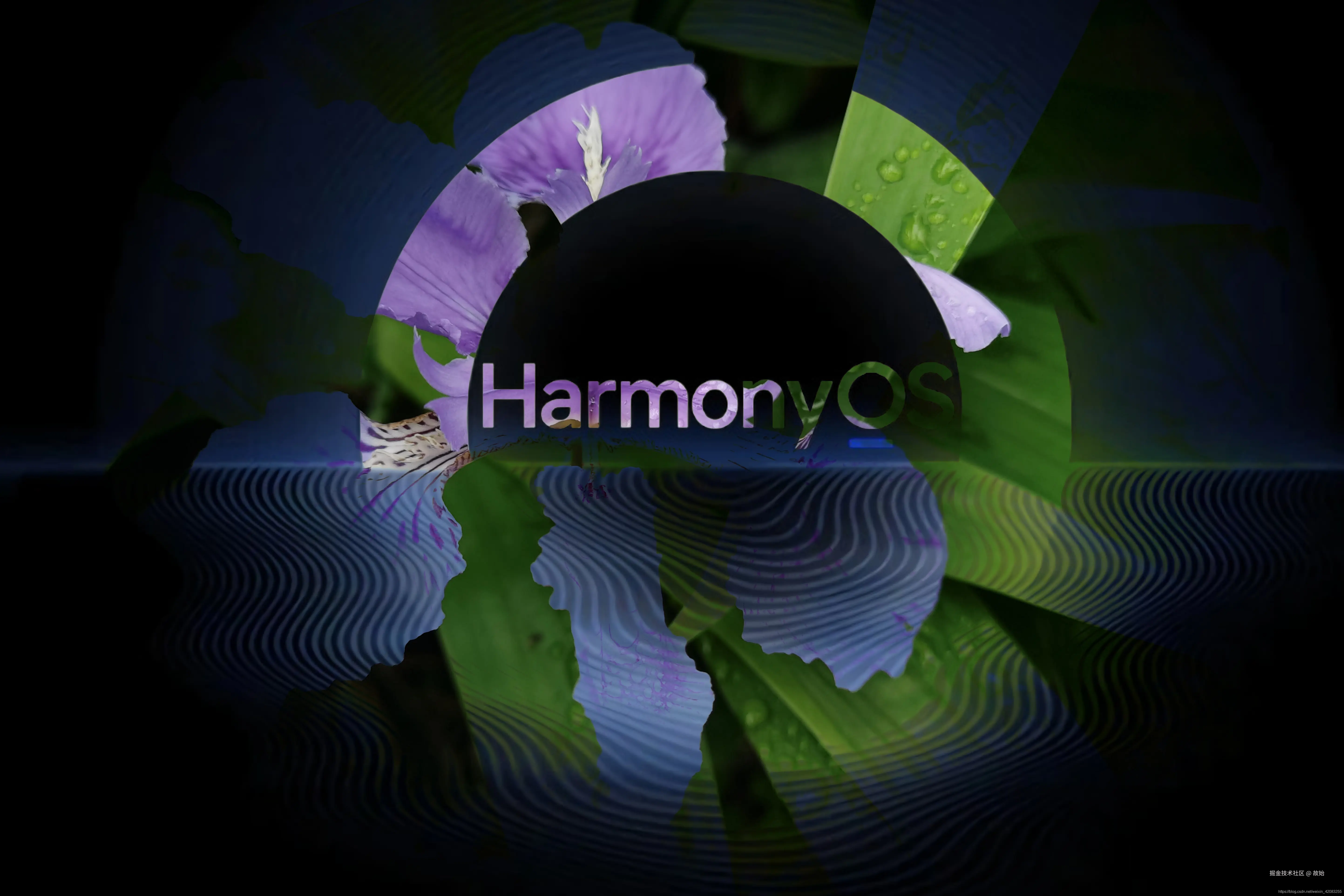 HarmonyOS Next UI开发