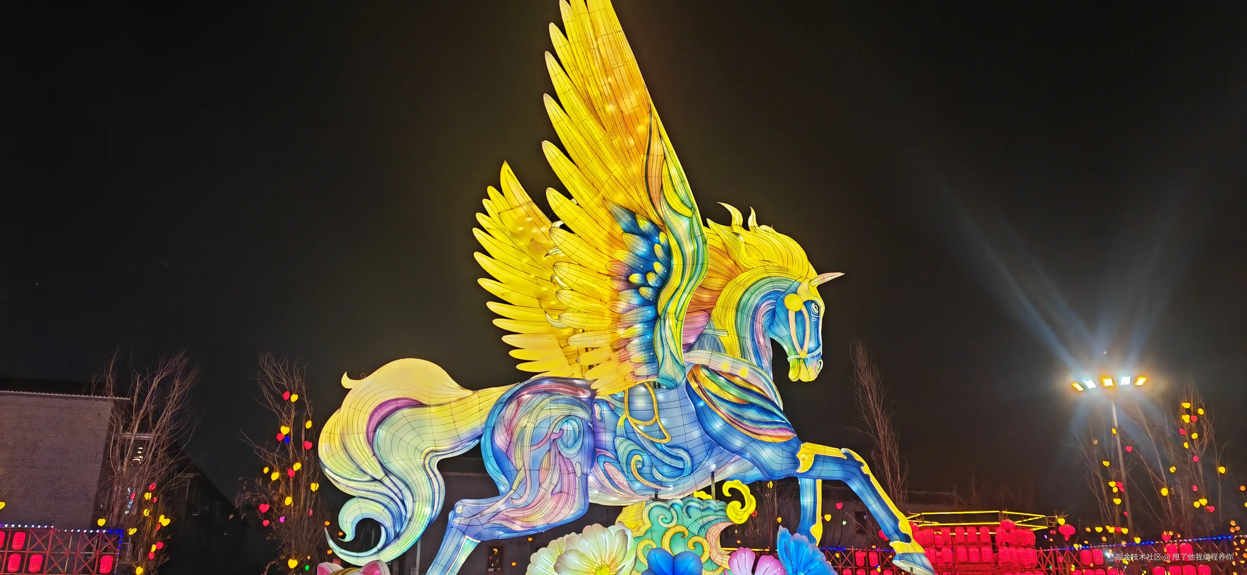 甩了他我编程养你于2026-02-21 11:07发布的图片